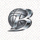 BB贝博艾弗森(中国区)股份有限公司官方logo，蓝色主色调体育品牌标识