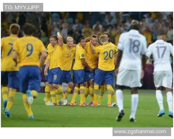 瑞典与法国在欧青赛的激烈对决回顾与分析