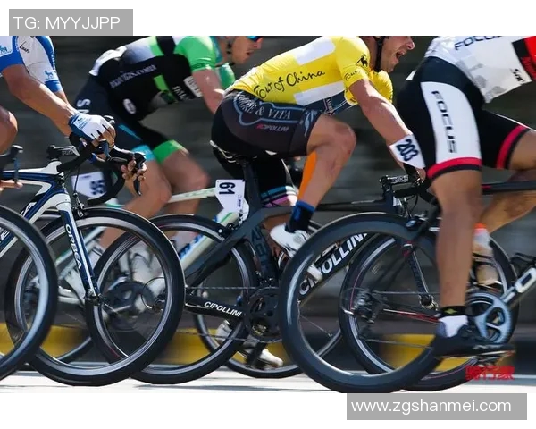 智利与德国争夺洲际杯荣耀之战精彩回顾与分析